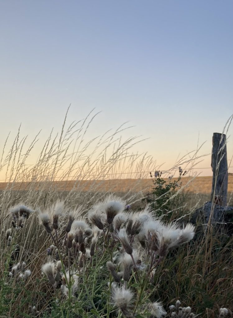 prière pour la paix