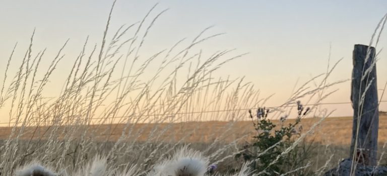 Infos des communautés soeurs et des lieux frères… prière pour la paix