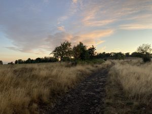 un avenir de paix pour la création