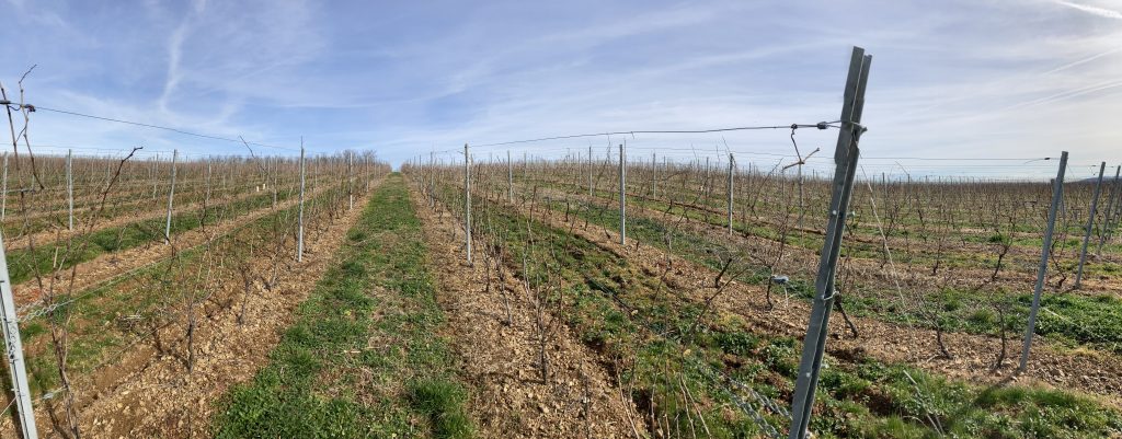 CRAC 2026 quelques nouvelles