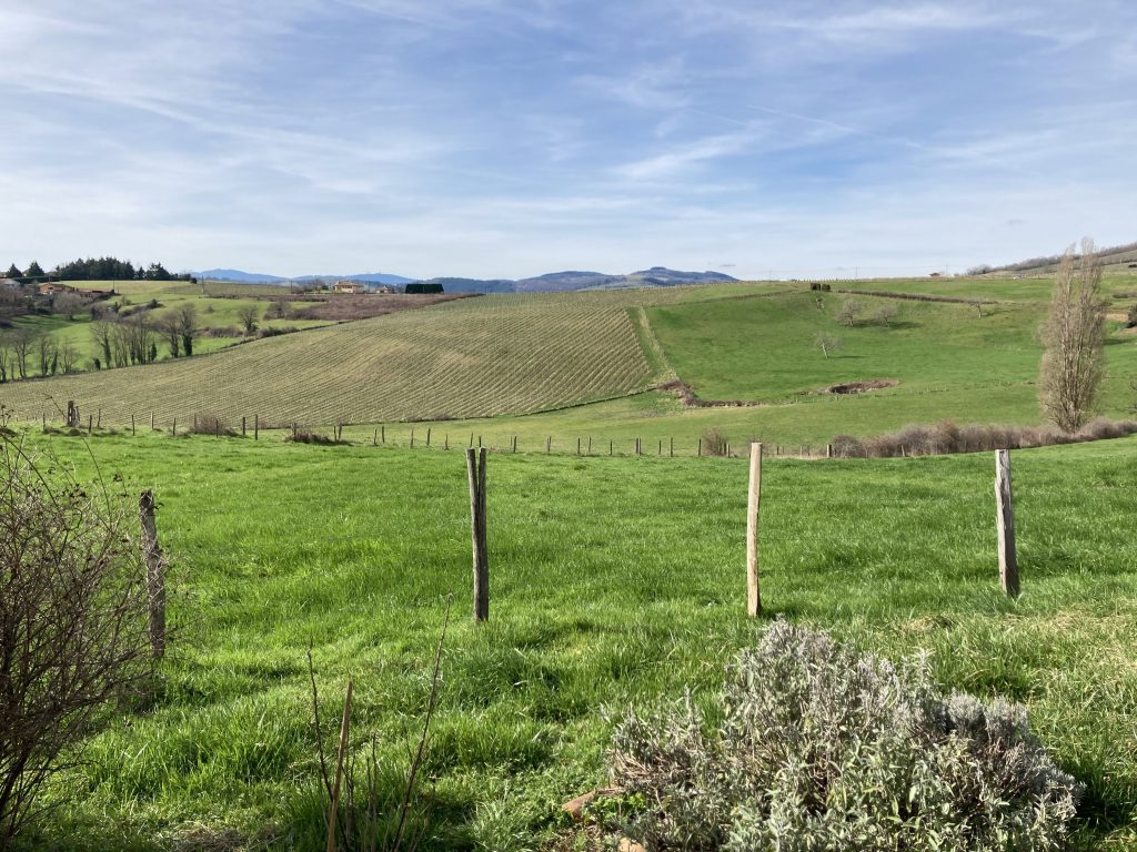 CRAC de février 2026 quelques nouvelles